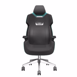 Thermaltake GGC-ARG-BGLFDL-01, Fauteuil de gaming, 150 kg, Siège rembourré, Dossier rembourré, 170 cm, 190 cm