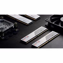 G.Skill Ripjaws F5-5200J3636D32GX2-RS5W module de mémoire 64 Go 2 x 32 Go DDR5