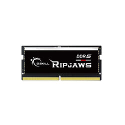 G.Skill Ripjaws F5-5600S4040A16GX1-RS module de mémoire 16 Go 1 x 16 Go DDR5 5600 MHz
