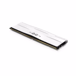 Silicon Power SP032GXLWU560FSG module de mémoire 32 Go 2 x 16 Go DDR5 5600 MHz ECC