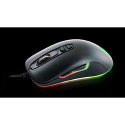 QPAD DX-80 souris Ambidextre USB Type-A Opto-mécanique 8000 DPI