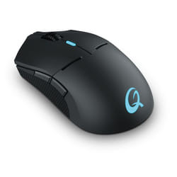 QPAD DX900 souris Ambidextre RF Wireless + USB Type-C Optique 16000 DPI