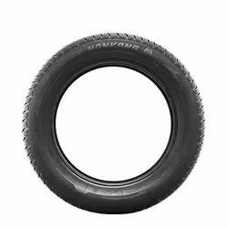 Nankang SV-3 Winter 175/65 R15 88H auto Pneus hiver Pneus RENAULT: CLIO 3, Clio 4, Modus / Grand Modus, MINI: 3/5 portes, Countryman, Clubman JY209 - Vue supplémentaire 3