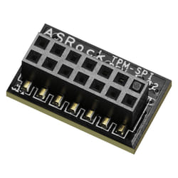 Asrock 90-MCA080-00UBNZ TPM (Trusted Platform Modules) SPI