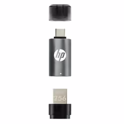 PNY HPFD5600C-256 lecteur USB flash 256 Go USB Type-A / USB Type-C 3.2 Gen 1 (3.1 Gen 1) Gris