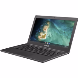 ASUS Chromebook C403NA-FQ0005 N3350 35,6 cm (14") HD Intel® Celeron® 4 Go LPDDR4-SDRAM 32 Go eMMC Wi-Fi 5 (802.11ac) ChromeOS Gris