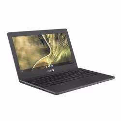 ASUS Chromebook C204MA-GJ0342 Intel® Celeron® N N4020 11.6" HD 4Go LP32Go Gris