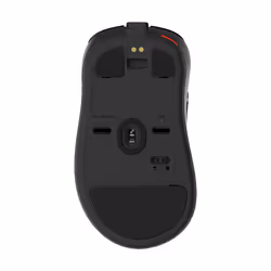 BenQ ZOWIE Refurbished EC2-CW souris Jouer Droitier RF Wireless + USB Type-A 3200 DPI