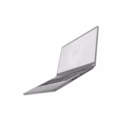 MSI Workstation WS75 10TL-439FR i7-10875H 17.3" Full HD 32Go 1To SSD Quadro RTX 4000 Win10 Pro Métallique