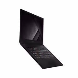 MSI Gaming GS66 Stealth 10SGS-481FR i7-10875H 15.6" Full HD 32Go 2To SSD RTX 2080 Super Max-Q Noir