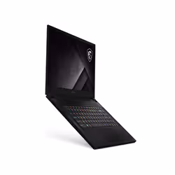 MSI Gaming GS66 Stealth 10UH-058FR i7-10870H 15.6" Full HD 32Go 2To SSD RTX 3080 Max-Q Noir