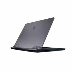 MSI Gaming GE66 Raider 10UE-215FR 15.6" Full HD i7-10870H 32Go 1To SSD RTX 3060 Gris