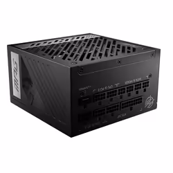 MSI MPG A1000G PCIE5