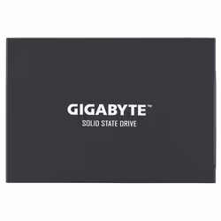 Gigabyte UD PRO, 256 Go, 2.5", 530 Mo/s, 6 Gbit/s