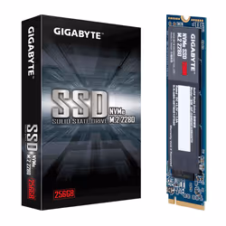 Gigabyte GP-GSM2NE3256GNTD, 256 Go, M.2, 1700 Mo/s