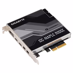 Gigabyte GC-MAPLE RIDGE, PCIe, DisplayPort, Mini DisplayPort, Thunderbolt 4, USB 3.2 Gen 2 (3.1 Gen 2), Noir, Gris, 40 Gbit/s