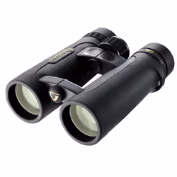 Vanguard Endeavor ED II 1042