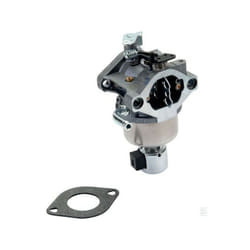 594593 - Carburateur complet pour moteur briggs et stratton