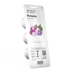 EMSA Click & Grow semence de fleur Petunia