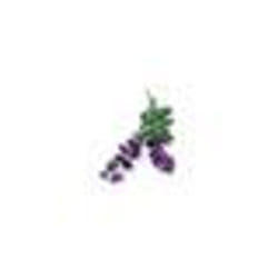 Recharge triple de Lavande pour Smart Garden - Click and Grow