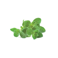Click and Grow Origan
