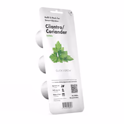 Click &amp; Grow Cilantro/Coriander, Plantes comestibles, Coriandre, Remplir, Croissance rapide (3-5 semaines), 7 - 14 jour(s ...