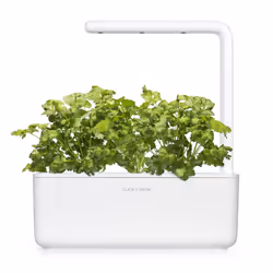 Click & Grow Cilantro/Coriander 3 pièce(s) Coriandre Remplir - Vue supplémentaire 4