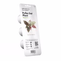 Click & Grow PLANTE AUX EPHELIDES