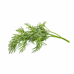 Click &amp; Grow ANETH