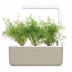 Click & Grow ANETH - Vue supplémentaire 4