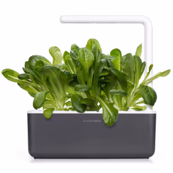 Click & Grow LAITUE ROMAINE - Vue supplémentaire 4