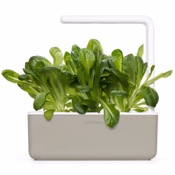 Click & Grow LAITUE ROMAINE - Vue supplémentaire 5