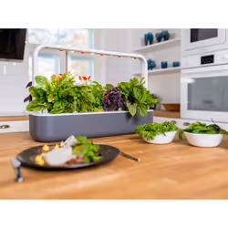 Click & Grow Smart Garden 9 jardin Blanc