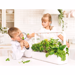 Click & Grow Smart Garden 9 jardin Gris - Vue supplémentaire 7