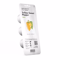 Click &amp; Grow 4742793008950, Plantes comestibles, Poivron jaune, Kit de démarrage, 3 pièce(s), Boîte