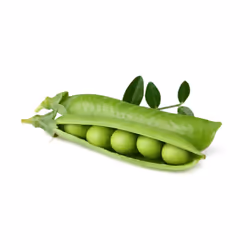 Click &amp; Grow POIS NAIN, Plantes comestibles, Remplir, Croissance rapide (3-5 semaines), 7 - 14 jour(s), 2 mois, 18 - 24 ° ...