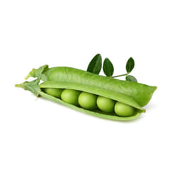 Click & Grow POIS NAIN