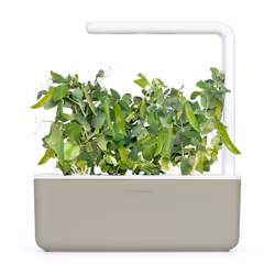 Click & Grow POIS NAIN