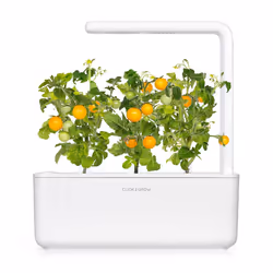 Click & Grow SGR57x3 3 pièce(s) Tomate cerise Kit de démarrage - Vue supplémentaire 4