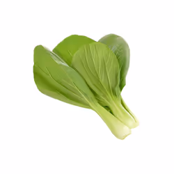 Click &amp; Grow CHOU DE CHINE, Plantes comestibles, Remplir, Croissance rapide (3-5 semaines), 7 - 14 jour(s), 1 mois, 18 -  ...