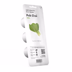 Click & Grow CHOU DE CHINE
