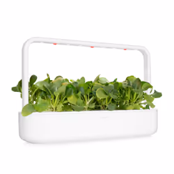 Click & Grow CHOU DE CHINE - Vue supplémentaire 6