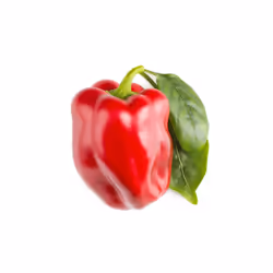 Click &amp; Grow POIVRON ROUGE, Plantes comestibles, Remplir, Croissance rapide (3-5 semaines), 7 - 14 jour(s), 2 mois, 20 -  ...