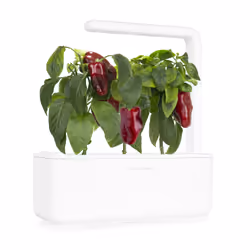 Click & Grow POIVRON ROUGE