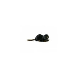 Hansa Castor Couché - Peluche 22 cm