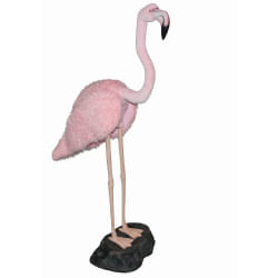 Hansa Flamant Rose Géant