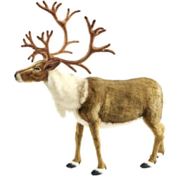 Hansa Renne Nordic Géant