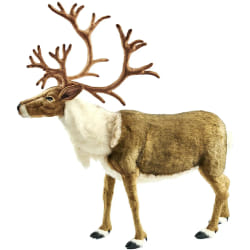Hansa Renne Nordic Géant