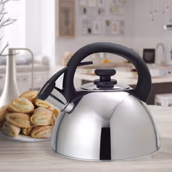 Feel-Maestro MR1302 bouilloire 2,5 L Acier inoxydable