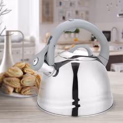 Feel-Maestro MR-1304 bouilloire 2,5 L Gris, Acier inoxydable